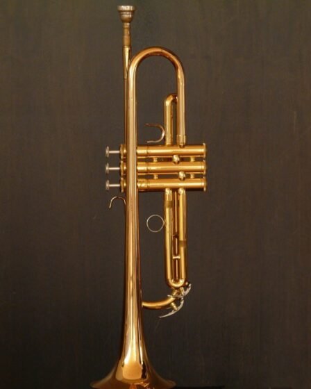 découvrez le brass festival : un événement incontournable réunissant des musiciens talentueux, concerts vibrants et animations festives autour des instruments de cuivres. ambiance conviviale garantie !