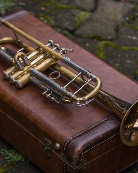 découvrez les principaux matériaux utilisés pour la fabrication des instruments de la famille des cuivres, leurs caractéristiques et leur influence sur le son et la qualité des instruments à vent.