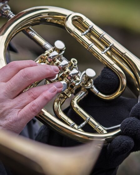 découvrez des ressources et conseils pour le développement des musiciens cuivres : techniques de jeu, exercices, progression, et astuces pour améliorer votre performance et votre maîtrise des instruments à vent.