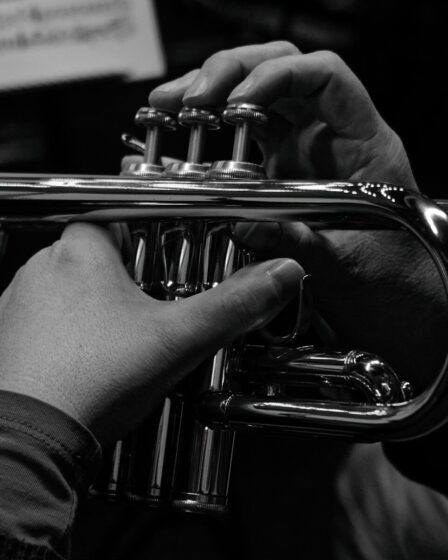 Mains sur les pistons d’une trompette en noir et blanc