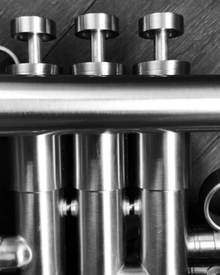 Pistons de trompette en noir et blanc, gros plan