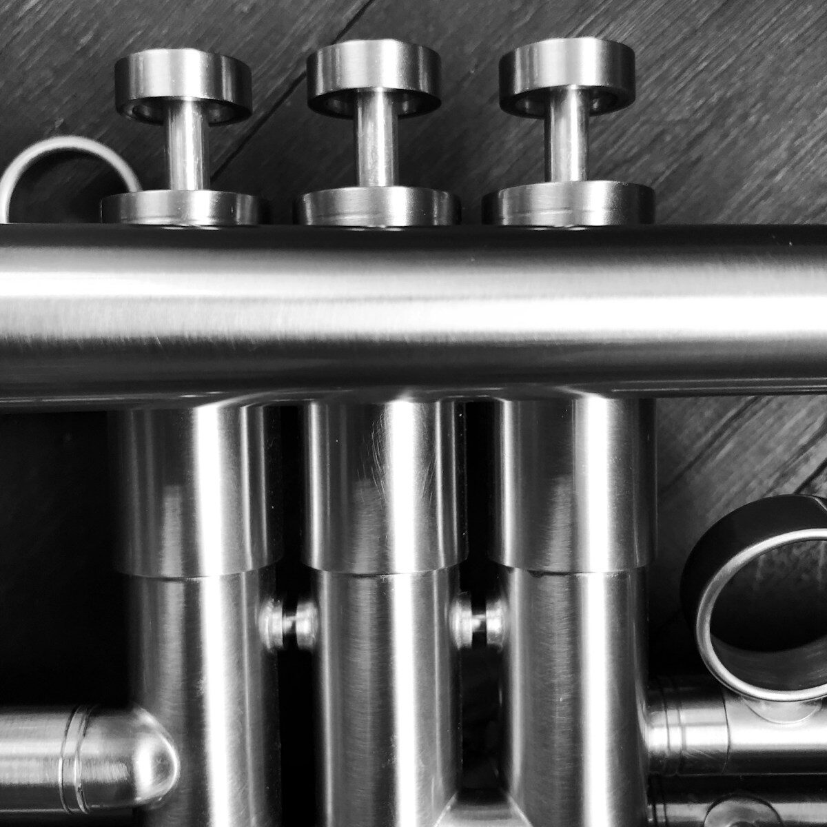 Pistons de trompette en noir et blanc, gros plan